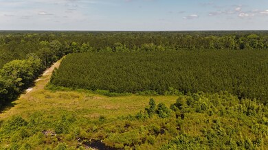 DJI_20250611102842_0055_D