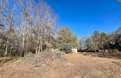 1164 Two Notch Rd, Lexington, SC 29073 - photo 3