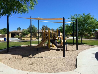 Jungle Gym