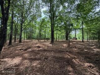IMG_0027 (1)