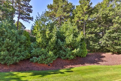 Private back yard