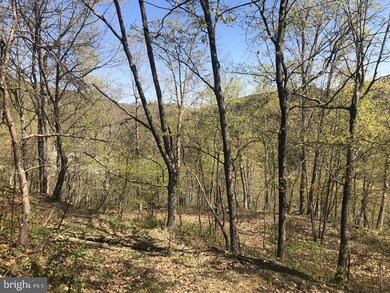 29 Ashton Woods Dr, Old Fields, WV 26836 - photo 5