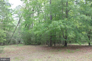 43233 Oakway Ct, Leonardtown, MD 20650 - photo 4