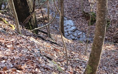Additional View