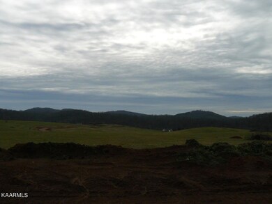 Lot 52 Schertz Ln, Rutledge, TN 37861 - photo 4