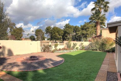 Backyard2