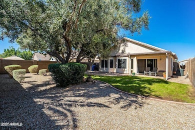 Caroline Ln-Backyard