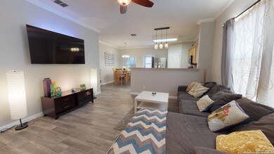 11239 Clusius, Helotes, TX 78023 - photo 2