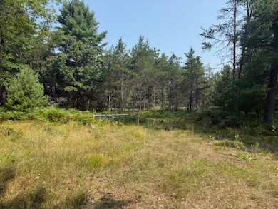 624 W 12th St, Baldwin, MI 49304 - photo 3