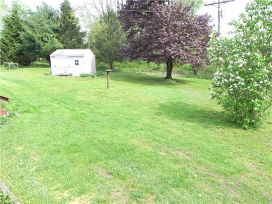 Shed in back yard
