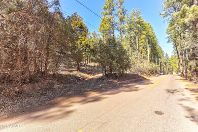 11180 N Houton Mesa Rd unit 77, Payson, AZ 85541 - photo 3