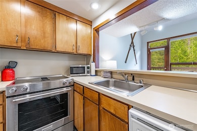 10500 Mt Baker Hwy unit 1006, Deming, WA 98244 - photo 7