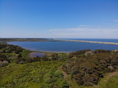 DJI_0673