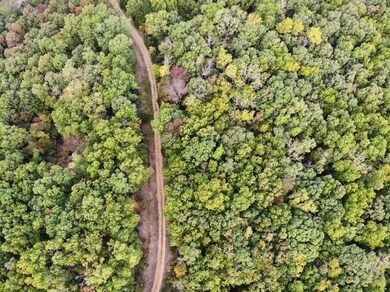 000 Red Oak, Kimberling City, MO 65686 - photo 7