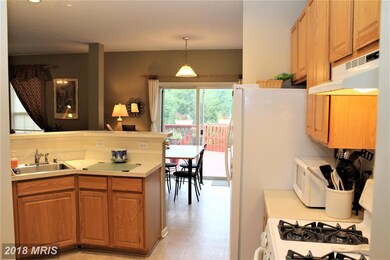 107 Egypt Farms Rd, Owings Mills, MD 21117 - photo 7