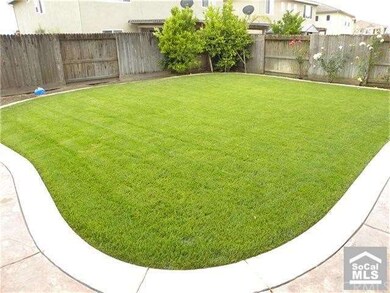 Backyard - Lawn