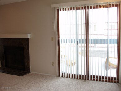 Sliding Glass Door
