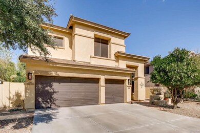 Rich looking exterior paint