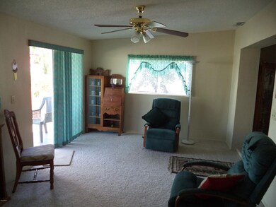 AIR DUCKED ARIZONA ROOM