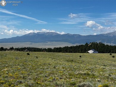 344 Cherokee Trail, Westcliffe, CO 81252 - photo 3