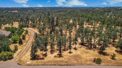 3-web-or-mls-DJI_0013