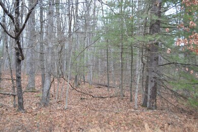 lot 533 Timber Ridge Dr, Lackawaxen Township, PA 18428 - photo 2