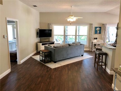 502 Cypress View Dr, Oldsmar, FL 34677 - photo 3