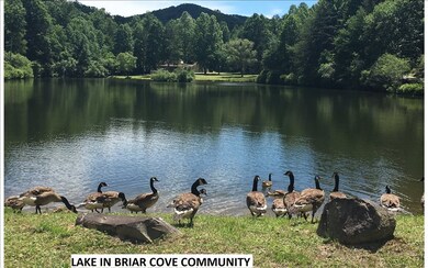 L 133 High Country Dr, Morganton, GA 30560 - photo 2