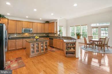 42229 Palm Cove Ct, Chantilly, VA 20152 - photo 4