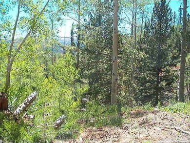 690 W Ski View Dr unit Ski View Est.UnC Blk, Brian Head, UT 84719 - photo 2