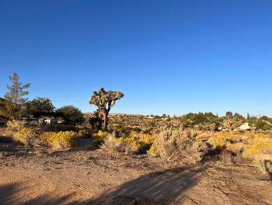 0 136th St E & Ave W11 unit 25002633, Pearblossom, CA 93553 - photo 4