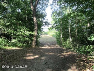 12242 W Lake Leven Rd, Villard, MN 56385 - photo 6