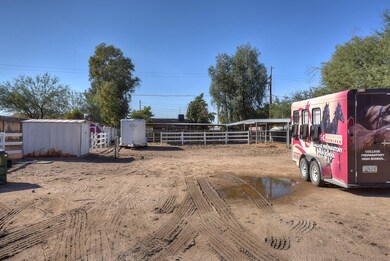 Shared Horse Area