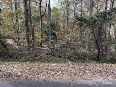 00 Tanglewood Ln, Great Falls, SC 29055 - photo 3