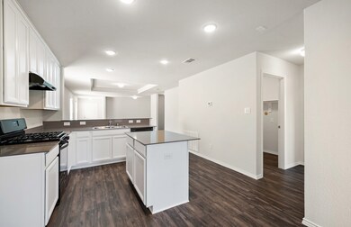 24039 Hay Needle Ln, Hockley, TX 77447 - photo 5