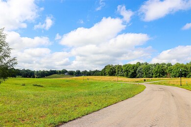 7166 Eagle Ridge Ln unit Lot 9, Bowling Green, KY 42103 - photo 4