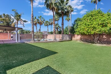 14436 N 6th Pl-29