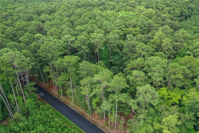 1.06AC E Point Rd, Onancock, VA 23417 - photo 3