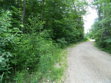 0 Moffet Ln unit 1271535, Cornish, ME 04020 - photo 2