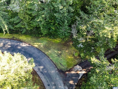 9999 Hunt Rd, Port Angeles, WA 98363 - photo 2