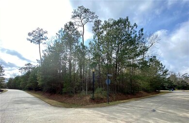 Back left corner of the lot at the intersection of