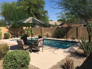 Backyard and Pool