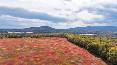 423 Beech Hill Rd, Northport, ME 04849 - photo 4