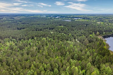 Lot 21 Whitetailed Deer Dr, Tomahawk, WI 54487 - photo 4