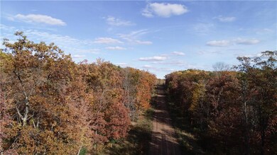 Lot 8 10 3 8 Ave, Chetek, WI 54728 - photo 2