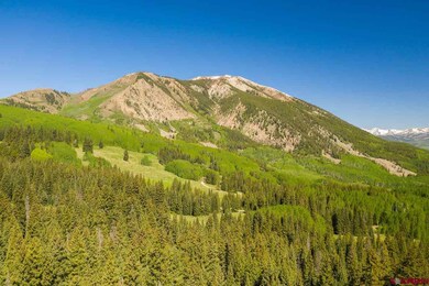 1360 Red Mountain Ranch Upper Loop, Crested Butte, CO 81224 - photo 3