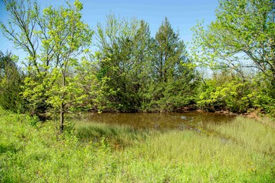 1767 W County Line Rd, Ratliff City, OK 73481 - photo 2