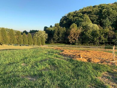 243516402_4356461261103910_2362366745326