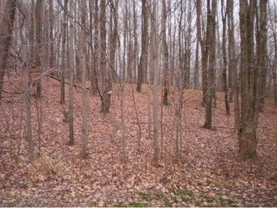 unlisted-address, Montrose, PA 18801 - photo 3