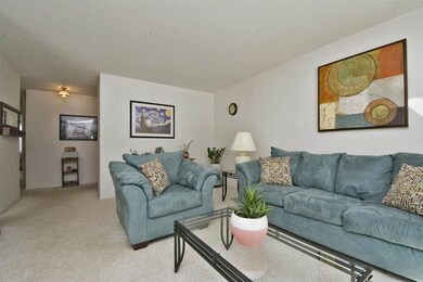 81 Twin Oaks Terrace, South Burlington, VT 05403 - photo 6